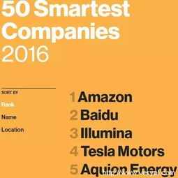 全球科技公司50强排行榜最新